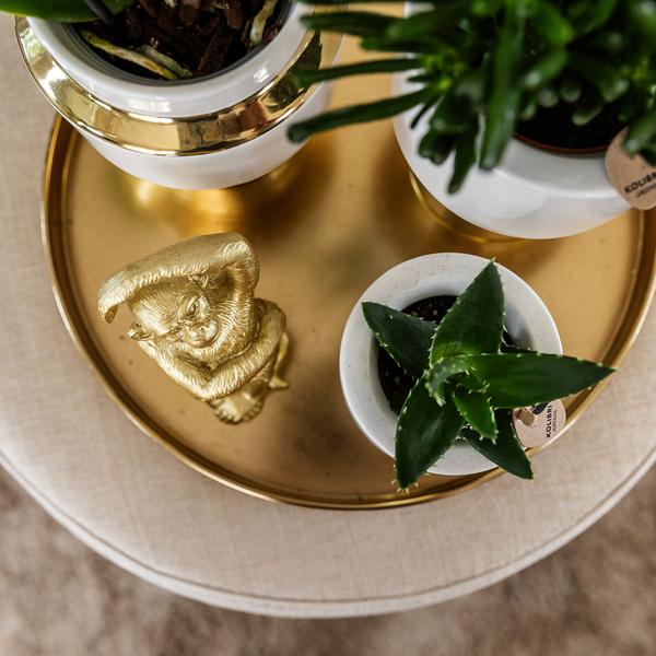 Le chic bloempot witte keramieken sierpot met gouden details 6 cm