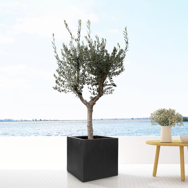 Block black 40 cm