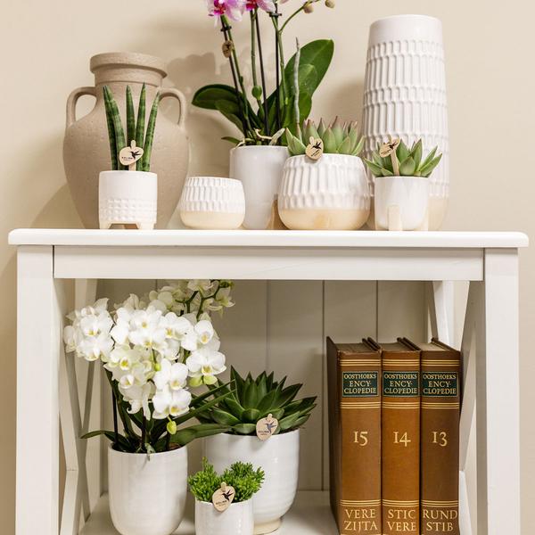 Glazed bloempot witte keramieken sierpot met glans 12 cm