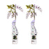 2x Wisteria sinensis &