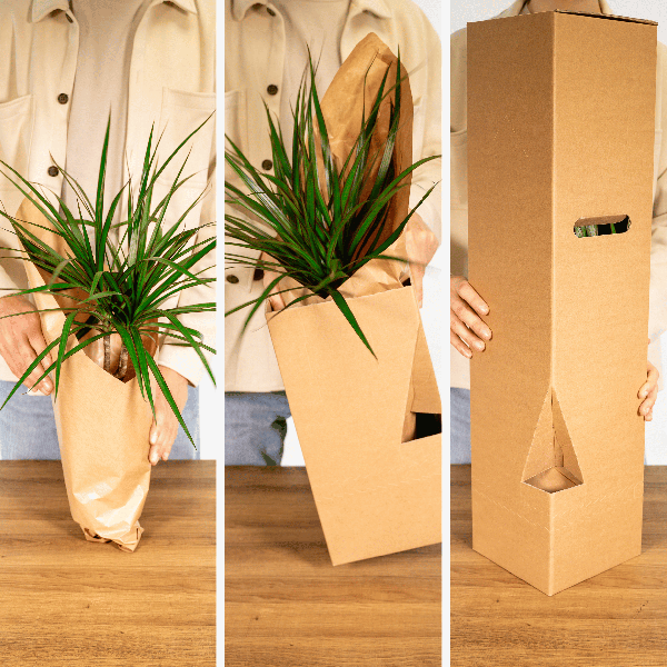Verrassingsbox - Ø12cm - ↕25cm - x5