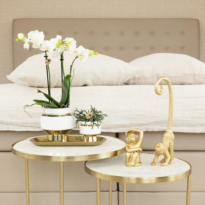 Le chic bloempot witte keramieken sierpot met gouden details 6 cm