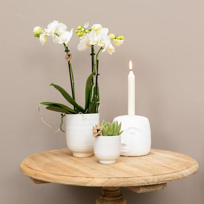 Glazed bloempot witte keramieken sierpot met glans 6 cm