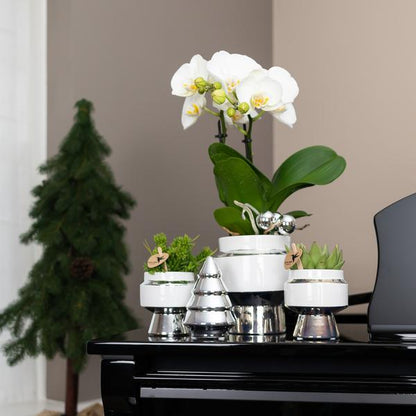 Le chic bloempot witte keramieken sierpot met zilveren details 9 cm