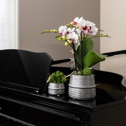 Groove bloempot gouden keramieken sierpot 12 cm