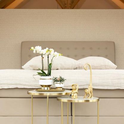 Le chic bloempot witte keramieken sierpot met gouden details 6 cm