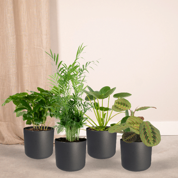 Animal friendly plant box - 4 pieces - Ø12cm - ↕20-40cm