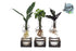 Intenz Mix in Ann Glas (witte dop) + Naturel Single - 3 stuks
