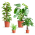 Easy care Plantenbox zonder sierpot