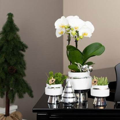 Le chic bloempot witte keramieken sierpot met zilveren details 6 cm