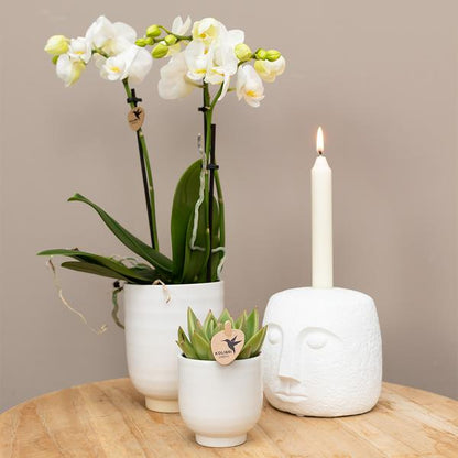 Glazed bloempot witte keramieken sierpot met glans 9 cm