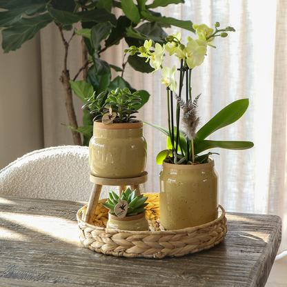Vintage bloempot khaki keramieken sierpot