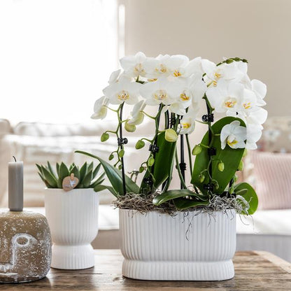 Diabolo pot white 12 cm