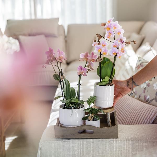 Pastel pot white 9 cm