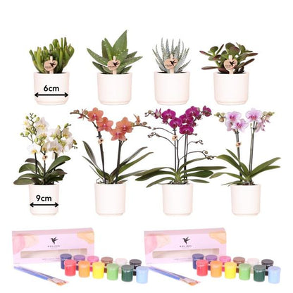 Verfpakket Orchideeën voor het schilderen van bloempotten