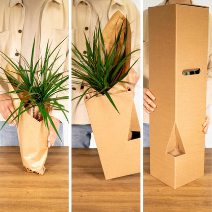 Überraschungsbox - Ø12cm - ↕25cm - x8