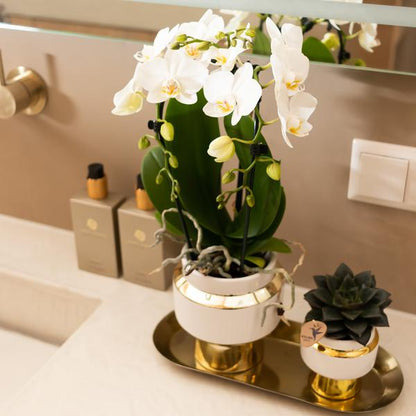 Le chic bloempot witte keramieken sierpot met gouden details 6 cm