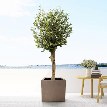 Pot grigio cube bronze 40 cm