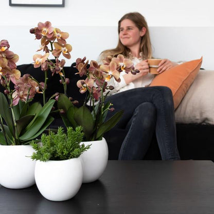 Bowl bloempot witte keramieken sierpot potmaat